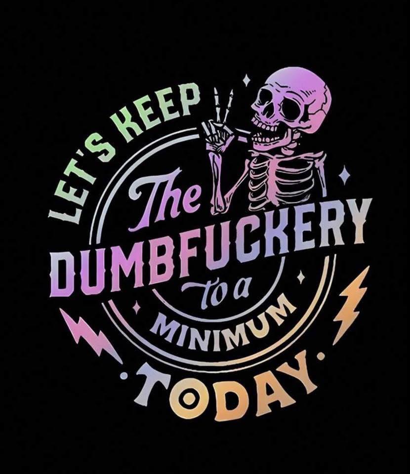 Let's Keep The Dumbfuckery to a Minimum Today DTF Print