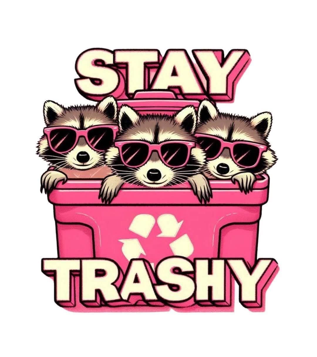 Stay Trashy- Trash Panda DTF Print